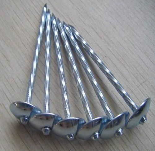 Roofing nails & accessories